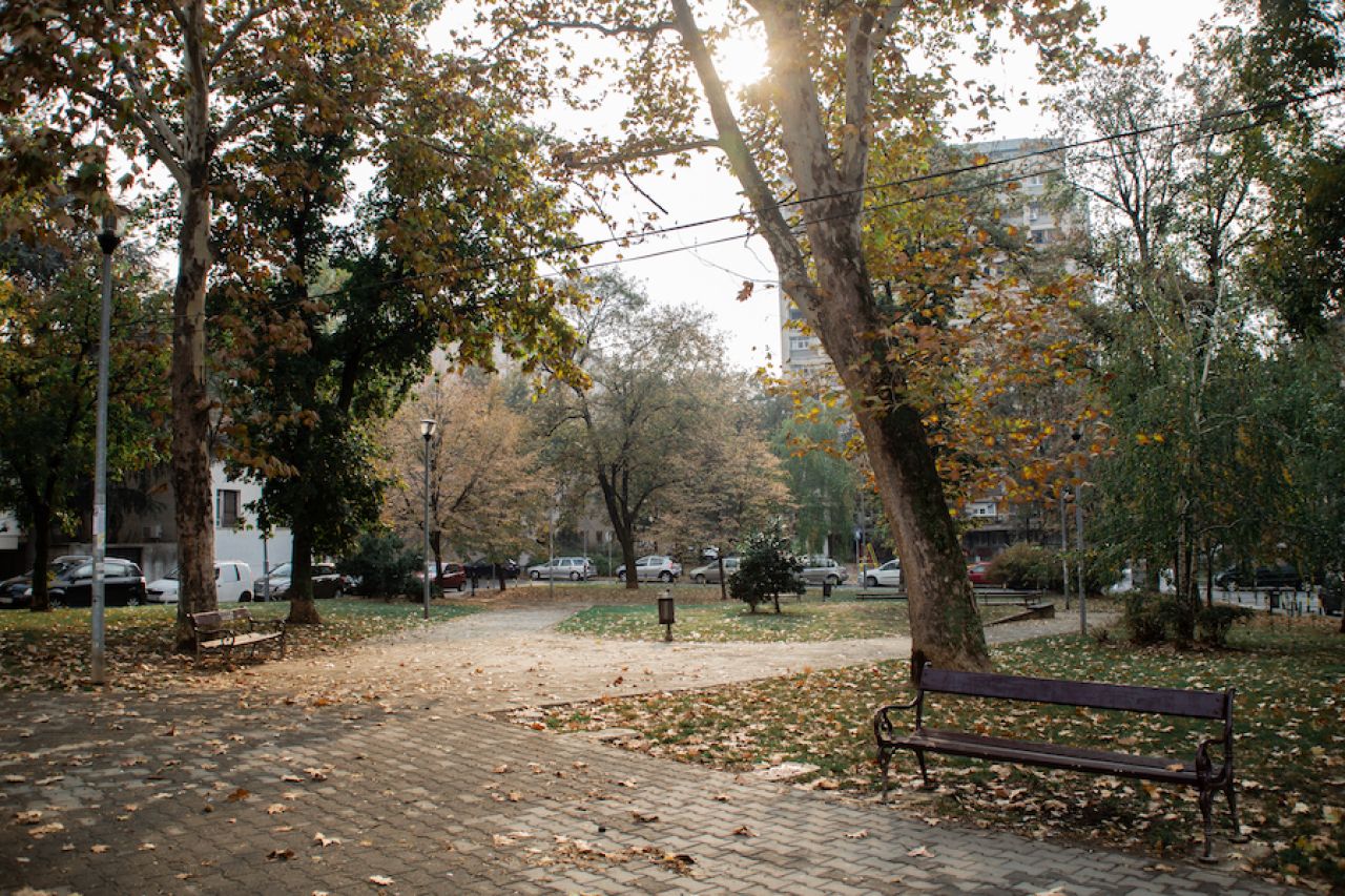 Kako je Profesorska kolonija dobila prvi park
